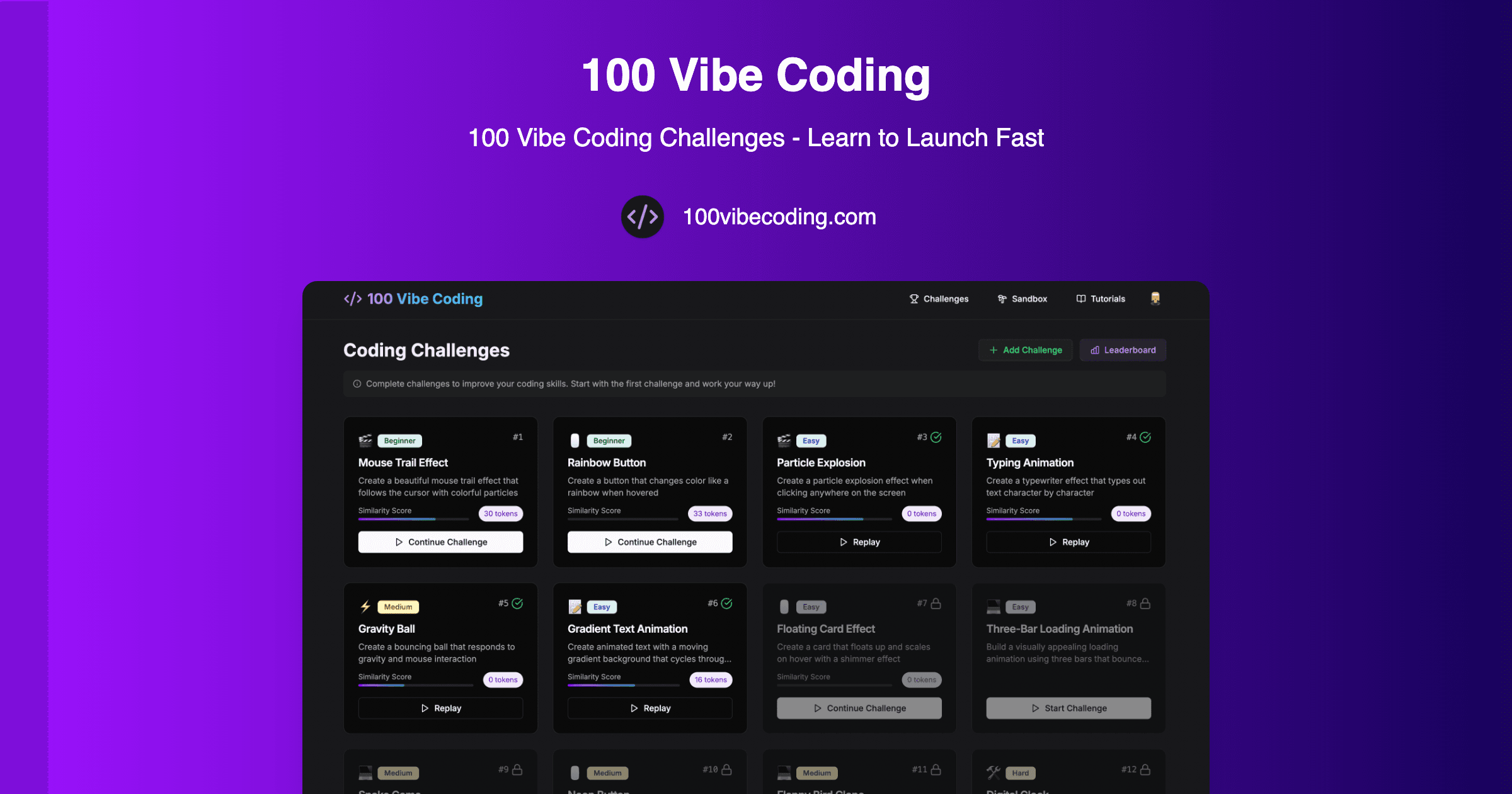 100 Vibe Coding product screenshot