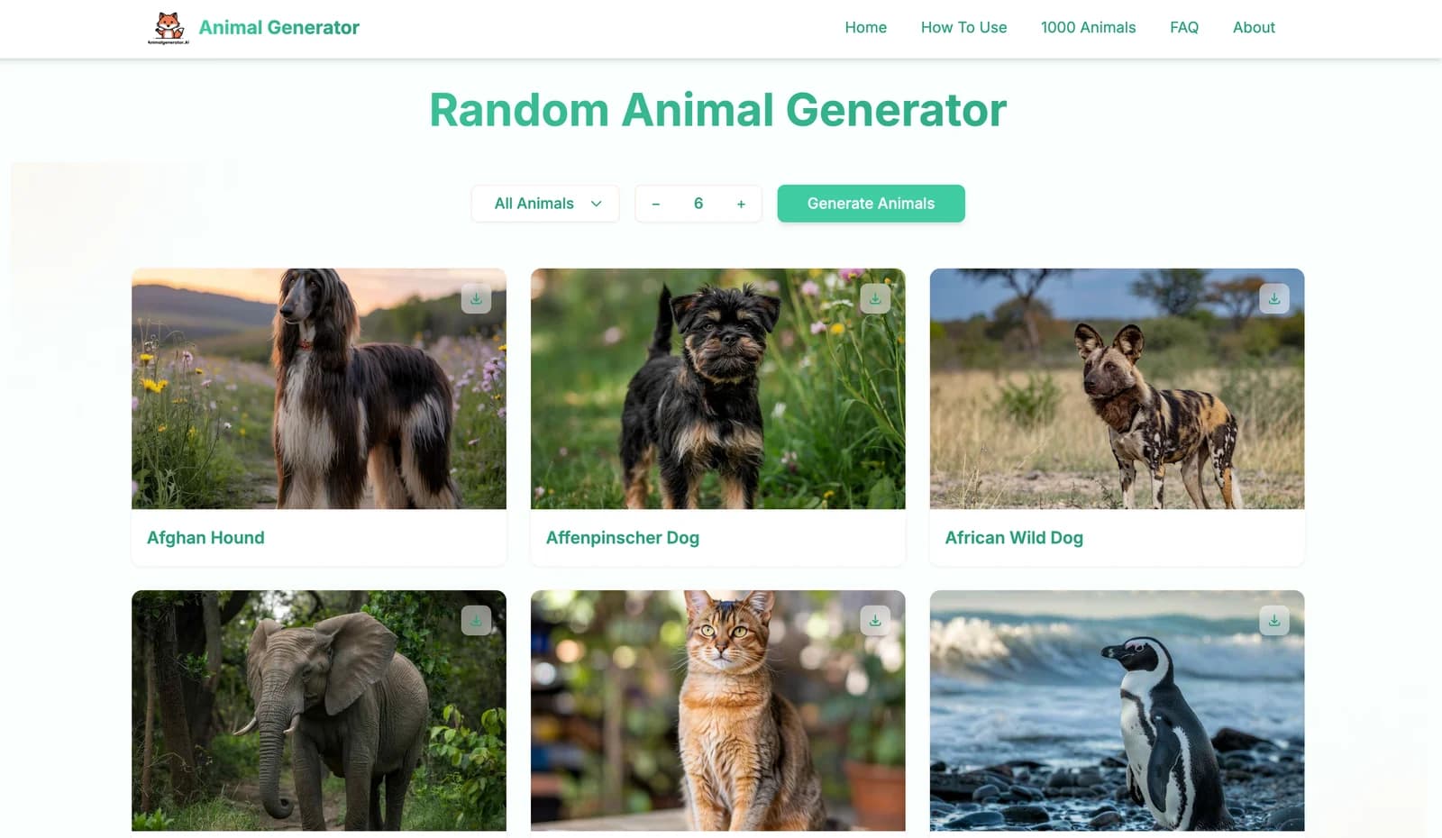 Random Animal Generator product screenshot